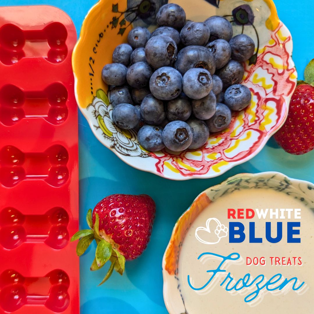 Red, White, and Blue Frozen Dog Treats: The Perfect Summer Delight!