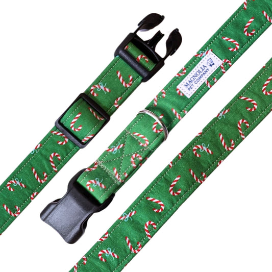 festive orange dog collar, adorned with small black bats